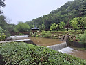 석모도수목원을 다녀옵니다