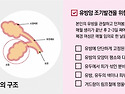 박미선 앓는 '그 암'&hellip;"무증상 많아" ..