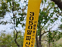 ♥고려산,465m,강화도,24년10월21일(월)