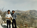 1981 산 모음
