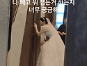 궁금한 新婦