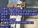 싱어송라이터 하도영의 버스킹