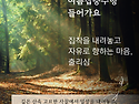 세첸코리아 여름집중수행에..