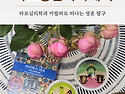 [7기타로상담아카데미]타로..