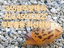 경주밧데리판매 추천합니다