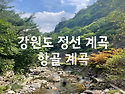 안산솔밭길산악회 148차 정기산행.정선 항골 숨바우길 오지계곡 트레킹