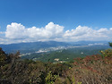 野生花을 찾아 정족산으로..