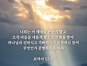 겨자씨와 산