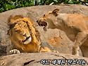 &lsquo;캐나다&rsquo;와 &lsquo;아메리카&rsquo;
