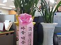 2023년  외할아버지 산소에서