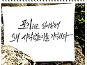 정읍 민간정원 들꽃마당(제이포렛)의 ..
