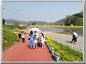 화순천변 꽃밭에서...