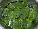 올만에 깻잎김치 담았네요..