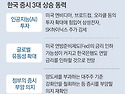 그냥 심심해서요. (40279) 코스피 34..