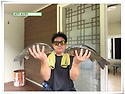 주 초 조황, 송전지낚시터..