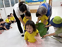 26.07.07 숲속으로 한걸음 '연잎으로 ..
