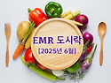 [2025년 6월] EMR 도시..