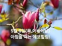 5월 8일(목.어버이날)아침을 여는 건강한 에코힐링(글 전체 보기는 글주소..