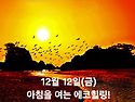 12월 12일(금)아침을 여는 건강한 에코힐링(글 전체보기는 글주소 클릭!)