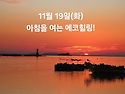 11월 19일(화)아침을 여는 건강한 에코힐링(글 전체보기는 글주소 클릭!)