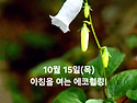 10월 15일(목)아침을 여는 건강한 에코힐링(글 전체보기는 글주소 클릭!)