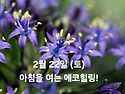 2월 22일(토)아침을 여는 건강한 에코힐링(글 전체보기는 글주소 클릭!)