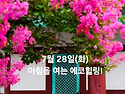 7월 28일(화)아침을 여는 건강한 에코힐링(글 전체보기는 글주소 클릭!)