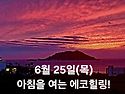 6월 25일(목)아침을 여는 건강한 에코힐링(글 전체보기는 글주소 클릭!)