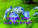 6월 마지막 날(화)아침을 여는 건강한 에코힐링(글 전체보기는 글주소 클릭..