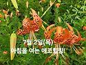 7월 2일(목)아침을 여는 건강한 에코힐링(글 전체보기는 글주소 클릭!)