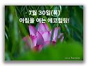 7월 30일(목)아침을 여는 건강한 에코힐링!