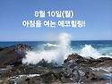 8월 10일(월)아침을 여는 건강한 에코힐링(글 전체보기는 글주소 클릭!)