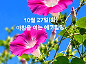 10월 27일(화)아침을 여는 건강한 에코힐링(글 전체보기는 글주소 클릭!)