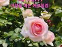 5월 14일(수)아침을 여는 건강한 에코힐링(글 전체보기는 글주소 클릭!)