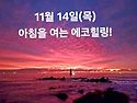 11월 14일(목)아침을 여는 건강한 에코힐링(글 전체보기는 글주소 클릭!)