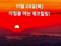 11월 28일(목)아침을 여는 건강한 에코힐링(글 전체보기는 글주소 클릭!)