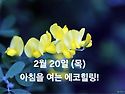 2월 20일(목)아침을 여는 건강한 에코힐링(글 전체보기는 글주소 클릭!)