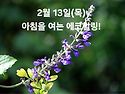 2월 13일(목)아침을 여는 건강한 에코힐링(글 전체보기는 글주소 클릭!)