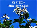 5월 27일(수)아침을 여는 건강한 에코힐링(글 전체보기는 글주소 클릭!)