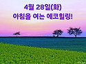 4월 28일(화)아침을 여는 건강한 에코힐링(글 전체보기는 글주소 클릭!)