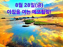 8월 28일(금)아침을 여는 건강한 에코힐링(글 전체보기는 글주소 클릭!)