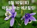 5월 10일(토)아침을 여는 건강한 에코힐링(글 전체보기는 글주소 클릭!)