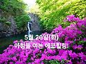 5월 20일(화)아침을 여는 건강한 에코힐링(글 전체보기는 글주소 클릭!