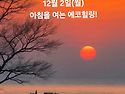 12월 2일(월)아침을 여는 건강한 에코힐링(글 전체보기는 글주소 클릭!)