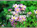 10월 10일(토)아침을 여는 건강한 에코힐링(글 전체보기는 글주소 클릭!)