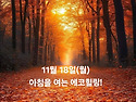 11월 18일(월)아침을 여는 건강한 에코힐링(글 전체보기는 글주소 클릭!)