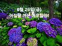 6월 26일(금)아침을 여는 건강한 에코힐링(글 전체보기는 글주소 클릭!)