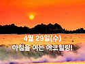 4월 29일(수)아침을 여는 건강한 에코힐링(글 전체보기는 글주소 클릭!)