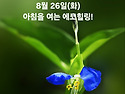 8월 26일(수)아침을 여는 건강한 에코힐링(글 전체보기는 글주소 클릭!)