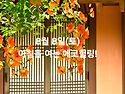 8월 8일(토)아침을 여는 건강한 에코힐링(글 전체보기는 글주소 클릭!)